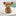 Silikon-Teddybär-Eisform-Nächster Händler-Der Bär-Nächster Händler