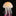 Medusas fluorescentes para acuarios