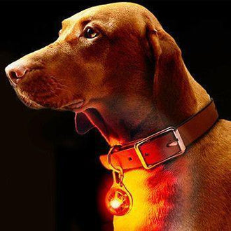 Lampe de sécurité LED pour animaux domestiques à clipser
