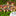 Guirlande lumineuse LED champignon de fée de 9,84 pieds