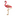 Broches élégantes en plaqué or - Boutique en ligne - Flamingo - Boutique en ligne
