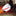 Mongolfiera XMAS Remote Control Airplane Balloon (con funzione LED)