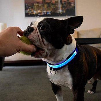 Collare per animali domestici in nylon blu solido a LED