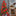 6.5ft Kerstster Bloemen LED String Light-Next Deal Shop-Next Deal Shop