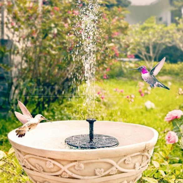 Solar-Powered Easy Bird Fountain Kit - Great Addition to Your